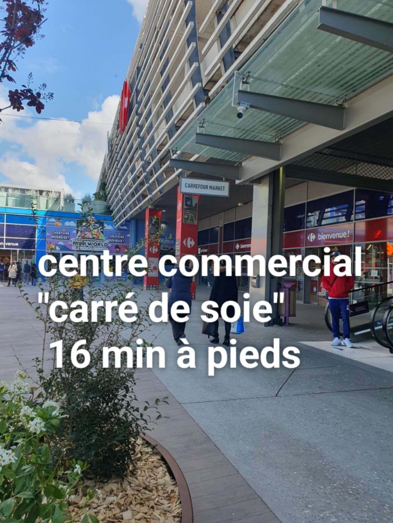 Medipole T2 Avec Un Garage Gratuit Sur Place, 16Min A Centre Ville Lyon En Metro A Villeurbanne Bagian luar foto